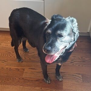 Meet your Posher, Elina